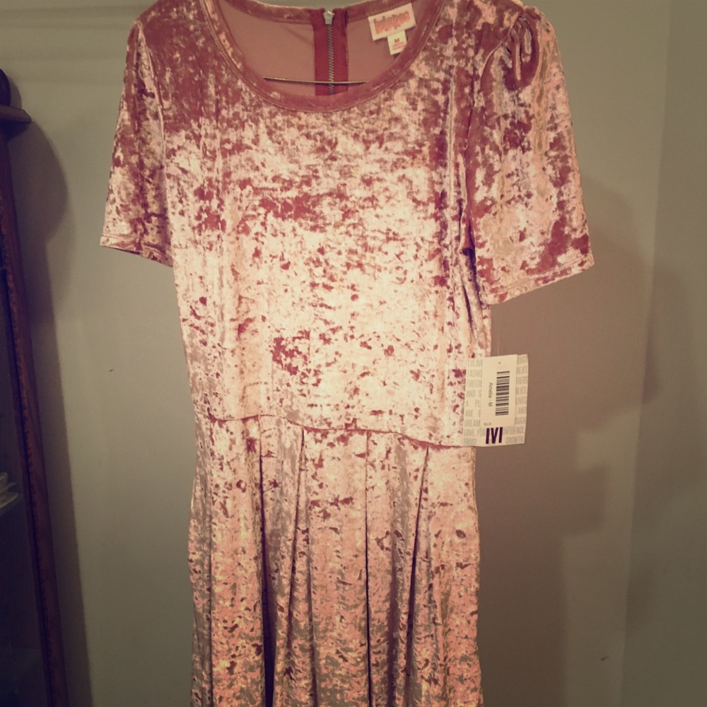 Elegant Velvet Amelia new with tags